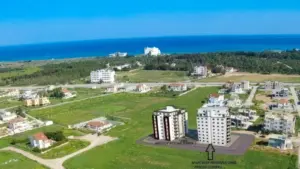 Aysergi Towers