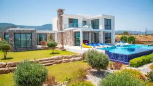 Deja Blue Wellness