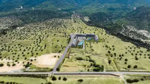 Macera