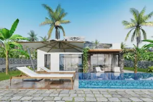 Oasis