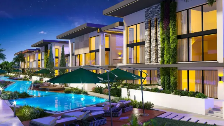 Olive Court 1
