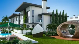 Olive Court 1