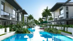 Olive Court 1
