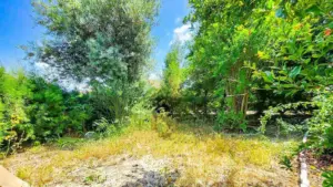 Olive Grove Sitesi