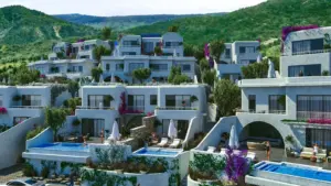 Orga Homes