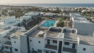 <p>باغ نخل</p>