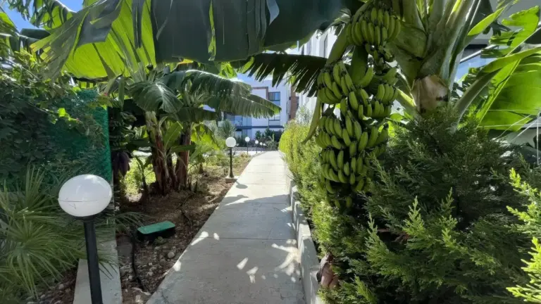Penthouse — Eden Garten Terrassen 1