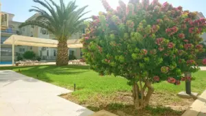 Sunrise Beach in İskele from £55,000