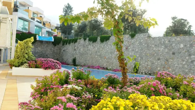 Water Garden