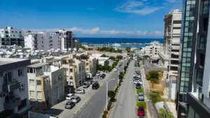 Yeni Liman Yolu Sitesi